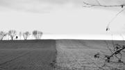 ../galleries/2017.02.04_Spaziergang_Seeburger_See/DSC_0360.thumbnail.jpg