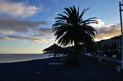 ../galleries/2018.01.25_Madeira_Tag_1/DSC_5997.thumbnail.jpg