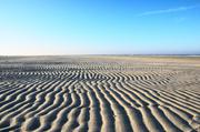 ../galleries/2018.11.17_Norderney_Tag_2/DSC_1492.thumbnail.jpg