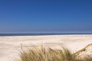 ../galleries/2019.04.16_Amrum_-_Tag_1/DSC_1928.thumbnail.jpg