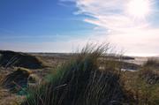../galleries/2019.04.17_Amrum_-_Tag_2/DSC_2254.thumbnail.jpg