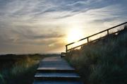 ../galleries/2019.04.17_Amrum_-_Tag_2/DSC_2273.thumbnail.jpg