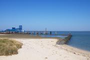 ../galleries/2019.04.18_Amrum_-_Tag_3/DSC_2395.thumbnail.jpg
