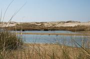 ../galleries/2019.04.19_Amrum_-_Tag_4/DSC_2568.thumbnail.jpg
