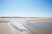 ../galleries/2019.04.23_Amrum_-_Tag_8/DSC_3058.thumbnail.jpg