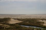../galleries/2019.04.24_Amrum_-_Tag_9/DSC_3222.thumbnail.jpg