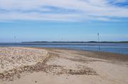 ../galleries/2019.04.25_Amrum_-_Tag_10/DSC_3338.thumbnail.jpg