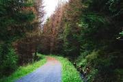 ../galleries/2019.08.17_Wanderung_St._Andreasberg_Harz/DSC_2128.thumbnail.jpg