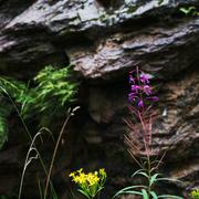 ../galleries/2019.08.17_Wanderung_St._Andreasberg_Harz/DSC_2136.thumbnail.jpg