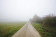 ../galleries/2019.11.10_Roronger_Berg_im_Nebel_mit_Annika/DSC_2840.thumbnail.jpg