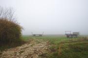 ../galleries/2019.11.10_Roronger_Berg_im_Nebel_mit_Annika/DSC_2841.thumbnail.jpg