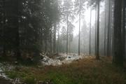 ../galleries/2019.11.16_Harz_Lonau/DSC_2920.thumbnail.jpg