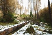 ../galleries/2020.02.15_Harz_Lonau/DSC_4188.thumbnail.jpg