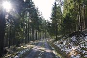 ../galleries/2020.02.15_Harz_Lonau/DSC_4206.thumbnail.jpg