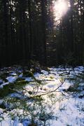 ../galleries/2020.02.15_Harz_Lonau/DSC_4207.thumbnail.jpg