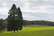 ../galleries/2020.03.21_Harz_Scharzfeld/DSC_4560.thumbnail.jpg