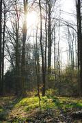 ../galleries/2020.04.02_Weender_Wald/DSC_4743.thumbnail.jpg