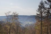 ../galleries/2020.04.12_Wandern_Harz_Walkenried_Zorge/DSC_4950.thumbnail.jpg
