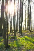 ../galleries/2020.04.12_Wandern_Harz_Walkenried_Zorge/DSC_4968.thumbnail.jpg