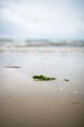 ../galleries/2020.06.19_Urlaub_Amrum_-_Tag_1/DSC_5676.thumbnail.jpg