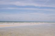 ../galleries/2020.06.20_Urlaub_Amrum_-_Tag_2/DSC_5808.thumbnail.jpg
