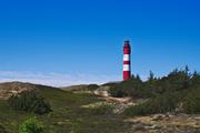 ../galleries/2020.06.21_Urlaub_Amrum_-_Tag_3/DSC_5863.thumbnail.jpg