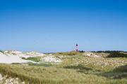 ../galleries/2020.06.21_Urlaub_Amrum_-_Tag_3/DSC_5903.thumbnail.jpg