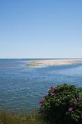 ../galleries/2020.06.21_Urlaub_Amrum_-_Tag_3/DSC_5918.thumbnail.jpg