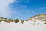 ../galleries/2020.06.21_Urlaub_Amrum_-_Tag_3/DSC_5961.thumbnail.jpg