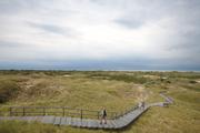 ../galleries/2020.06.21_Urlaub_Amrum_-_Tag_3/DSC_5989.thumbnail.jpg