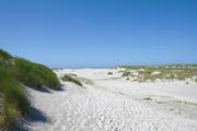 ../galleries/2020.06.22_Urlaub_Amrum_-_Tag_4/DSC_6058.thumbnail.jpg