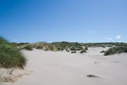 ../galleries/2020.06.22_Urlaub_Amrum_-_Tag_4/DSC_6082.thumbnail.jpg