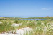 ../galleries/2020.06.23_Urlaub_Amrum_-_Tag_5/DSC_6181.thumbnail.jpg