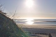 ../galleries/2020.06.23_Urlaub_Amrum_-_Tag_5/DSC_6227.thumbnail.jpg