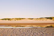 ../galleries/2020.06.23_Urlaub_Amrum_-_Tag_5/DSC_6349.thumbnail.jpg