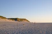 ../galleries/2020.06.23_Urlaub_Amrum_-_Tag_5/DSC_6370.thumbnail.jpg