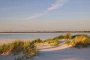 ../galleries/2020.06.23_Urlaub_Amrum_-_Tag_5/DSC_6378.thumbnail.jpg