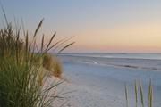 ../galleries/2020.06.24_Urlaub_Amrum_-_Tag_6/DSC_6466.thumbnail.jpg