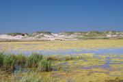 ../galleries/2020.06.25_Urlaub_Amrum_-_Tag_7/DSC_6566.thumbnail.jpg
