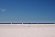../galleries/2020.06.25_Urlaub_Amrum_-_Tag_7/DSC_6579.thumbnail.jpg