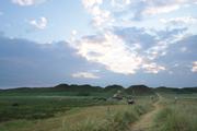 ../galleries/2020.06.27_Urlaub_Amrum_-_Tag_9/DSC_6726.thumbnail.jpg