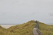../galleries/2020.06.28_Urlaub_Amrum_-_Tag_10/DSC_6786.thumbnail.jpg