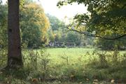 ../galleries/2020.10.18_Spaziergang_Herberhausen/DSC_8371.thumbnail.jpg