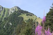 ../galleries/2021.08.13_Urlaub_Frankreich_-_Tag_14_-_Lac_de_Annecy_Wanderung/DSC_1221.thumbnail.jpg