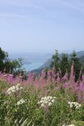 ../galleries/2021.08.13_Urlaub_Frankreich_-_Tag_14_-_Lac_de_Annecy_Wanderung/DSC_1222.thumbnail.jpg