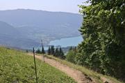 ../galleries/2021.08.13_Urlaub_Frankreich_-_Tag_14_-_Lac_de_Annecy_Wanderung/DSC_1228.thumbnail.jpg