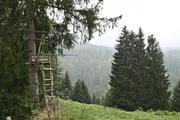 ../galleries/2021.10.04_Urlaub_Allgäu_-_Tag_2_-_Grünten/DSC_1615.thumbnail.jpg