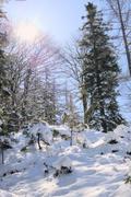 ../galleries/2022.04.11_Urlaub_Schönau_Königssee_-_Tag_2_-_Wanderung_Grünstein/DSC_2815.thumbnail.jpg