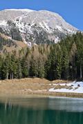 ../galleries/2022.04.12_Urlaub_Schönau_Königssee_-_Tag_3_-_Wanderung_Jenner/DSC_2928.thumbnail.jpg