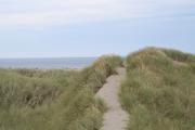 ../galleries/2022.09.07_Urlaub_Amrum_-_Tag_5_-_Strand/DSC_4265.thumbnail.jpg